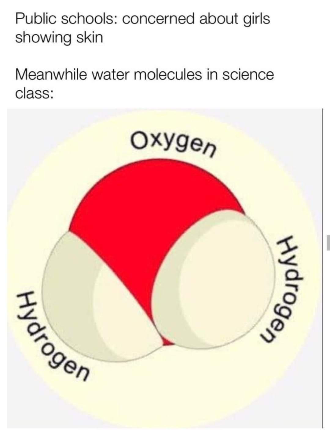 Public schools concerned about girls showing skin Meanwhile water molecules in science class OXYQe Z O O e