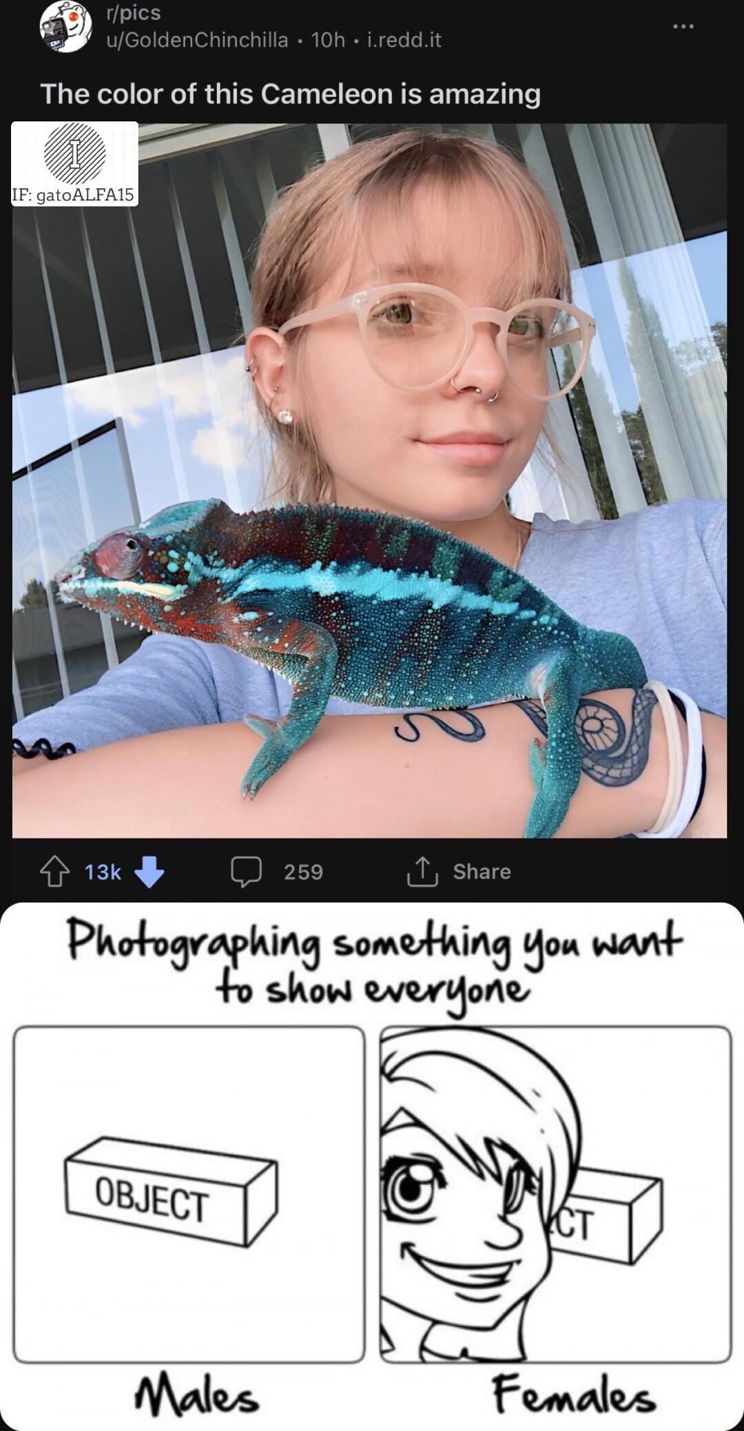 Photographing something You want o show everyone