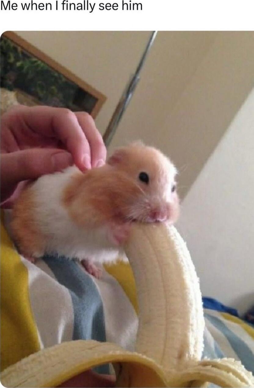 Me when I finally see him