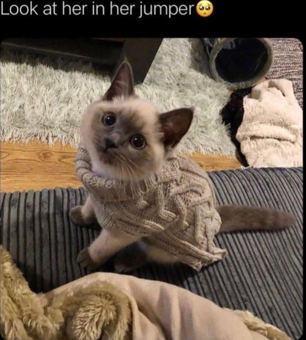 Look at her in her jumper