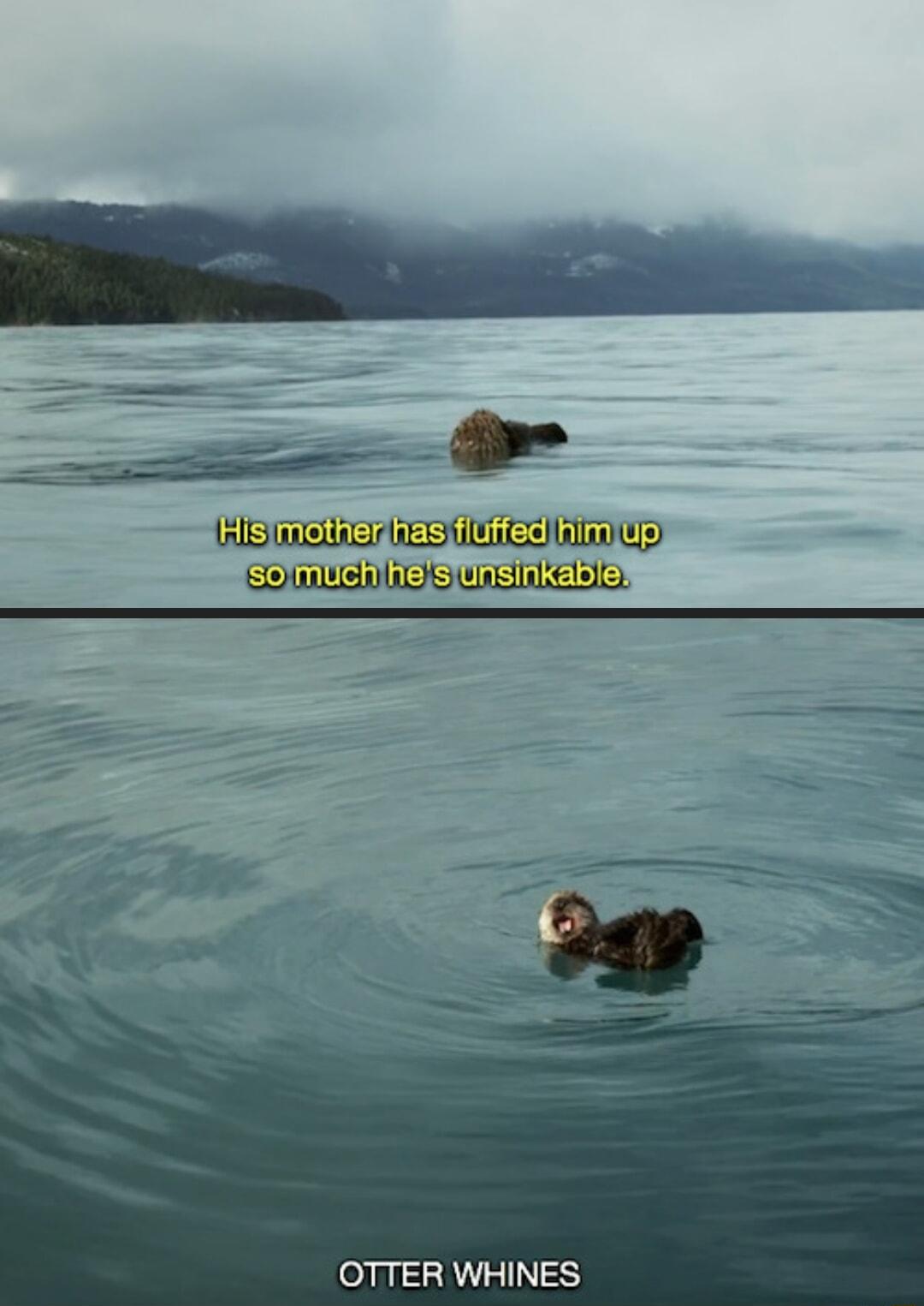 OTTER WHINES