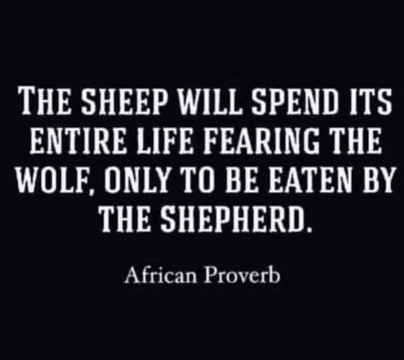 THE SHEEP WILL SPEND ITS ENTIRE LIFE FEARING THE WOLF ONLY TO BE EATEN BY THE SHEPHERD African Proverb
