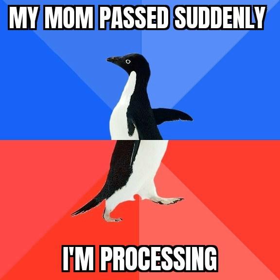 A IiM PROCESSING