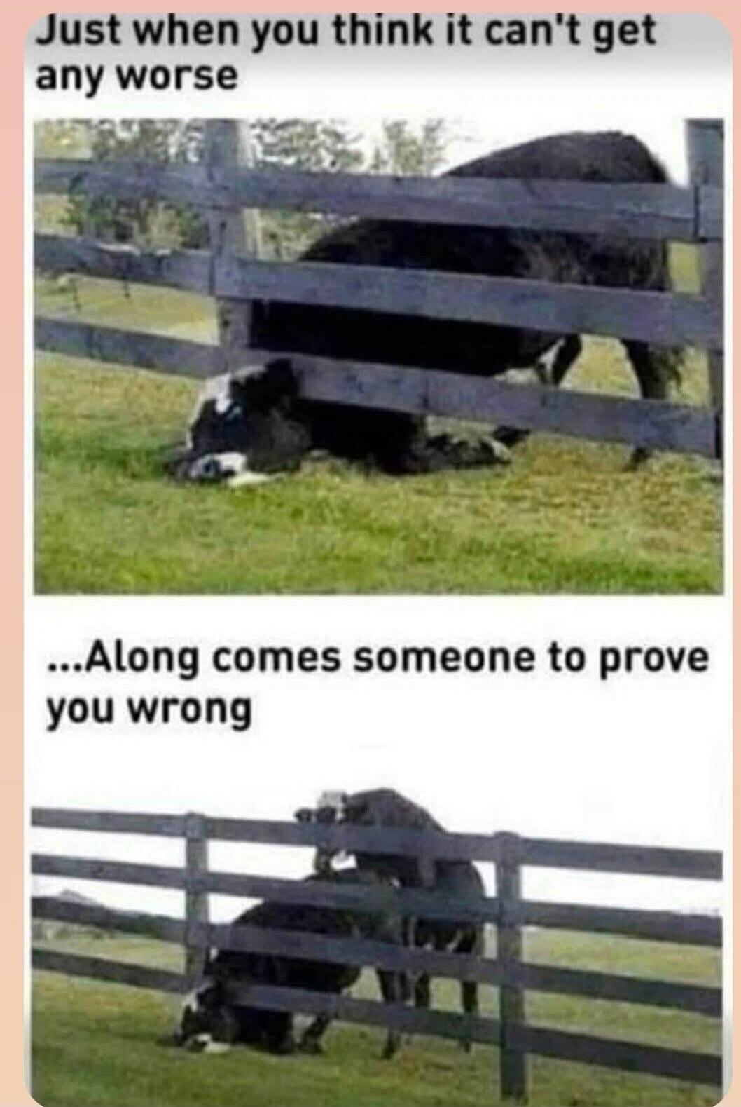 Just when you think it can't get any worse ...Along comes someone to prove you wrong