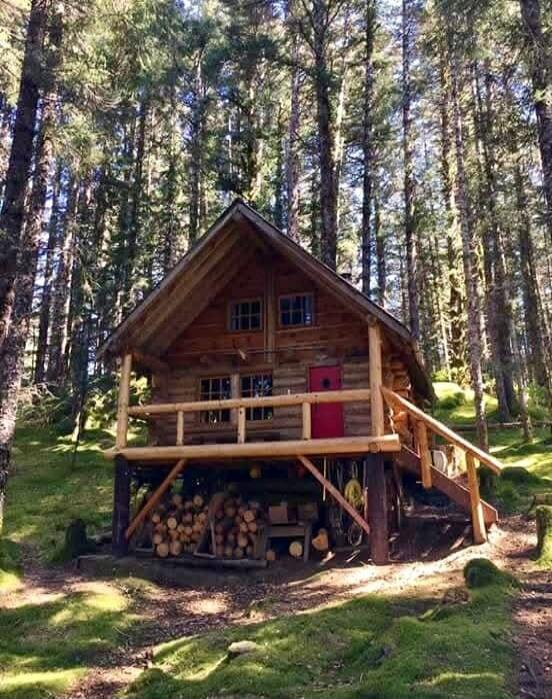 A wooden log cabin in a forest with a small porch and stacked firewood beneath. A ramp/steps lead to the entrance on the right side. Tall trees surround the cabin; sunlight filters through the canopy.