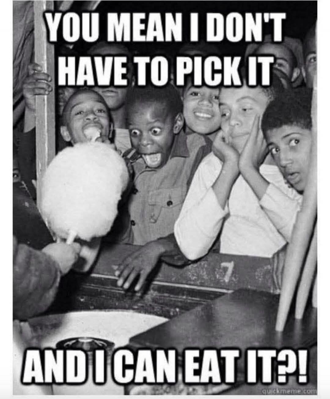 YOU MEAN I DON'T HAVE TO PICK IT AND I CAN EAT IT?!