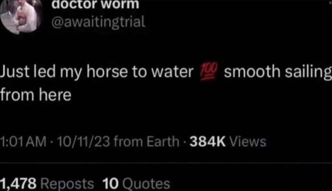 Goctor worm CENENGEL Just led my horse to water smooth sailing from here PR VAR VPRGN TR 1 7 QU 1478 Reposts 10 Quotes