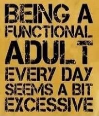 BEING A FUNCTIONAL ADULT EVERY DAY SEEMS A BIT EXCESSIVE