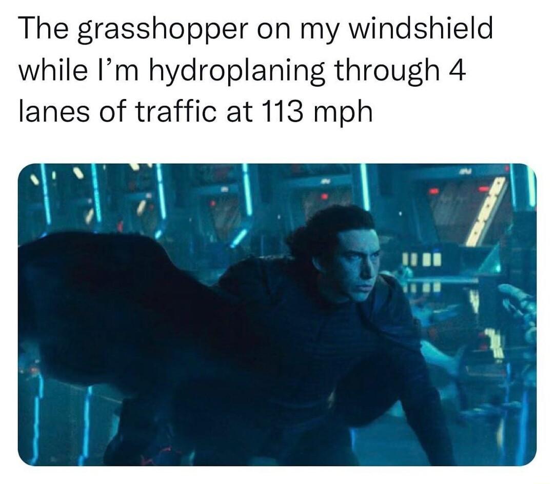 The grasshopper on my windshield while Im hydroplaning through 4 lanes of traffic at 113 mph