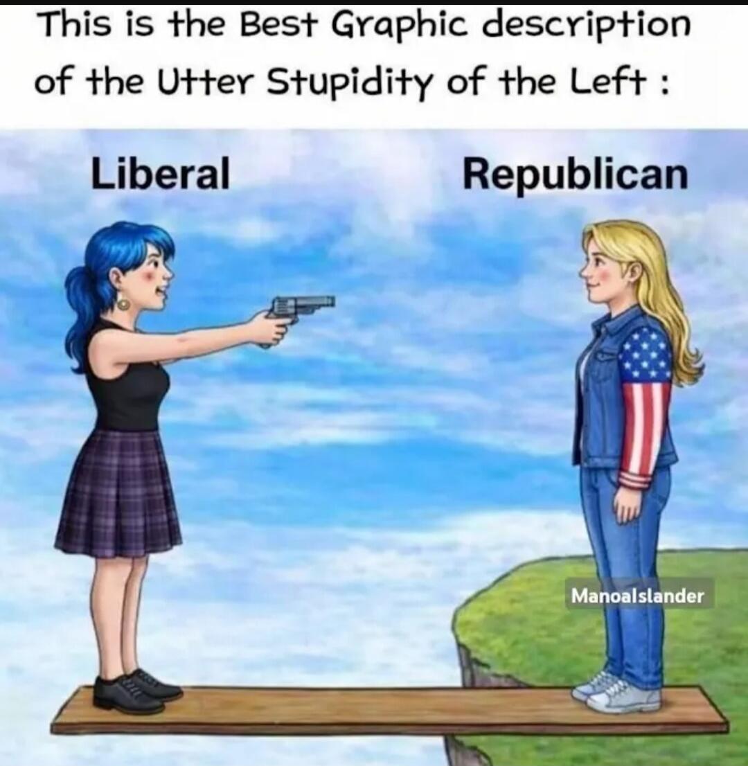 This is the Best Graphic description of the Utter Stupidity of the Left : Liberal Republican ManoaIslander