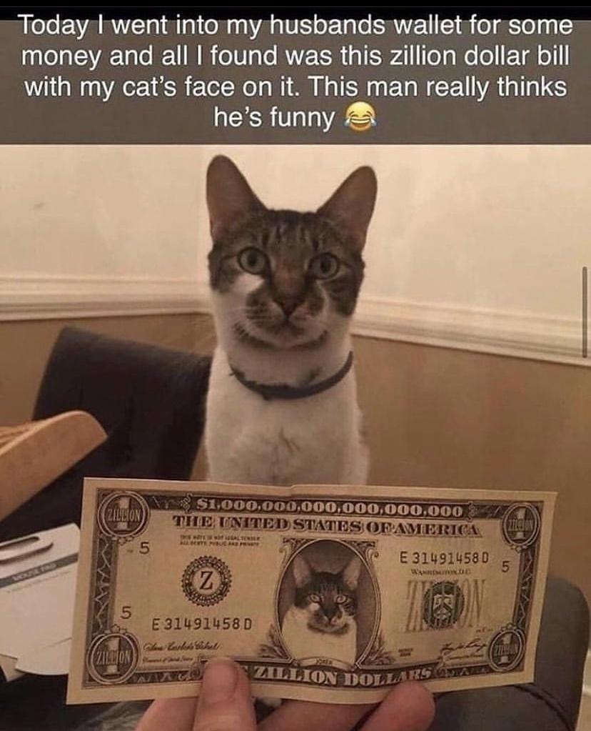 Today went into my husbands wallet for some el aE U REUN R VT VEER Gl TolgRe ol ETdl o with my cats face on it This man really thinks hes funny 2