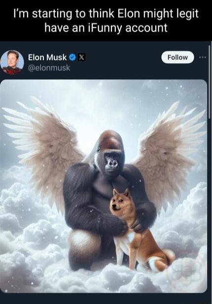 Im starting to think Elon might legit have an iFunny account Elon Musk