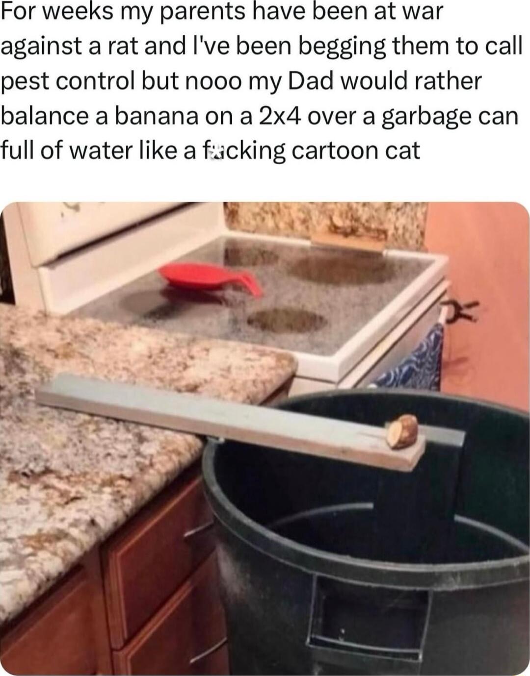 For weeks my parents have been at war against a rat and Ive been begging them to call pest control but nooo my Dad would rather balance a banana on a 2x4 over a garbage can full of water like a fiicking cartoon cat