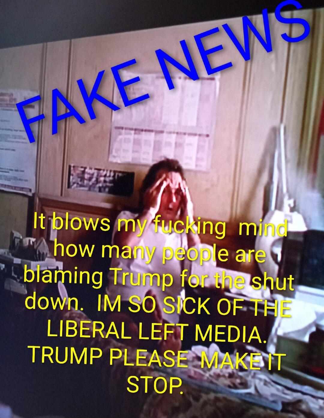FAKE NEWS
It blows my fucking mind how many people are blaming Trump for the shut down. IM SO SICK OF THE LIBERAL LEFT MEDIA. TRUMP PLEASE MAKE IT STOP.