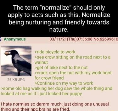 The term normalize should only apply to acts such as this Normalize ST Ve Vs Te R Tals R gTlale VR GV e 1 REYOICN Anonymous s so damm much r noc brair