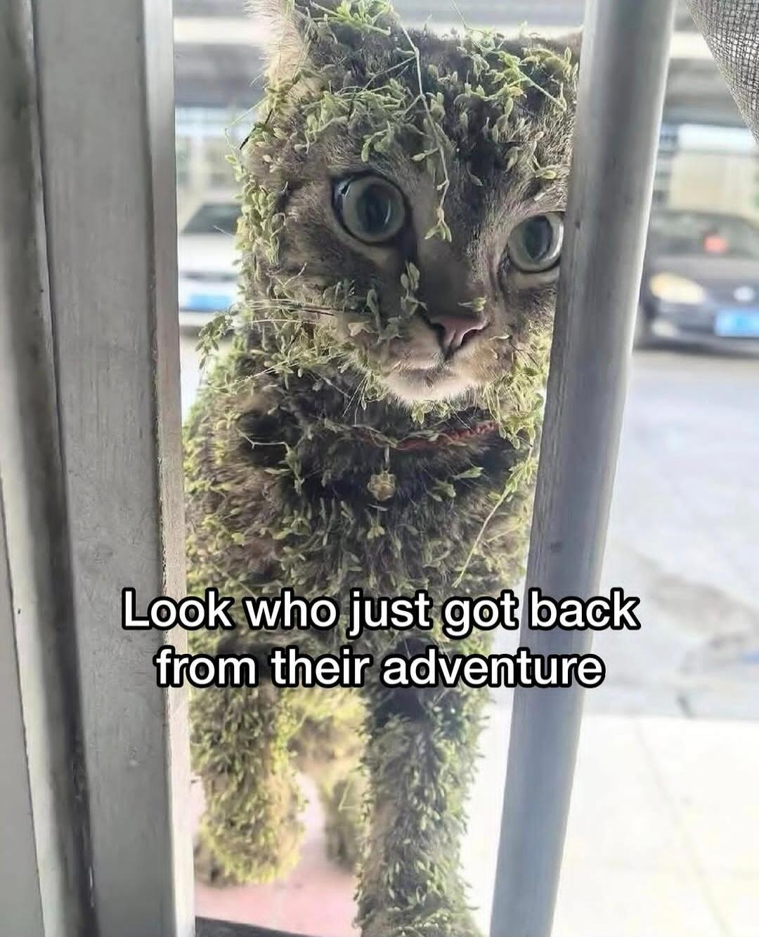 Look who just got back from their adventure