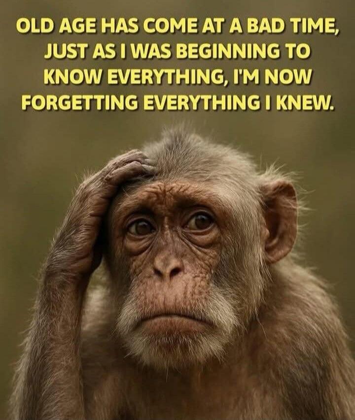OLD AGE HAS COME AT A BAD TIME, JUST AS I WAS BEGINNING TO KNOW EVERYTHING, I'M NOW FORGETTING EVERYTHING I KNEW.