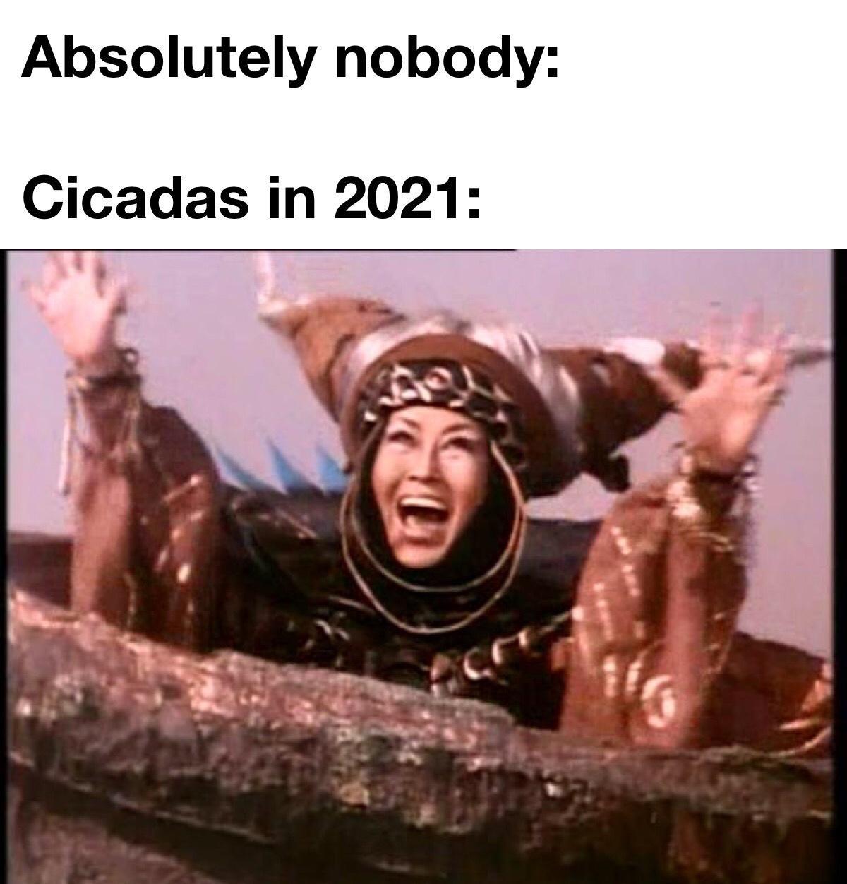 Absolutely nobody Cicadas in 2021