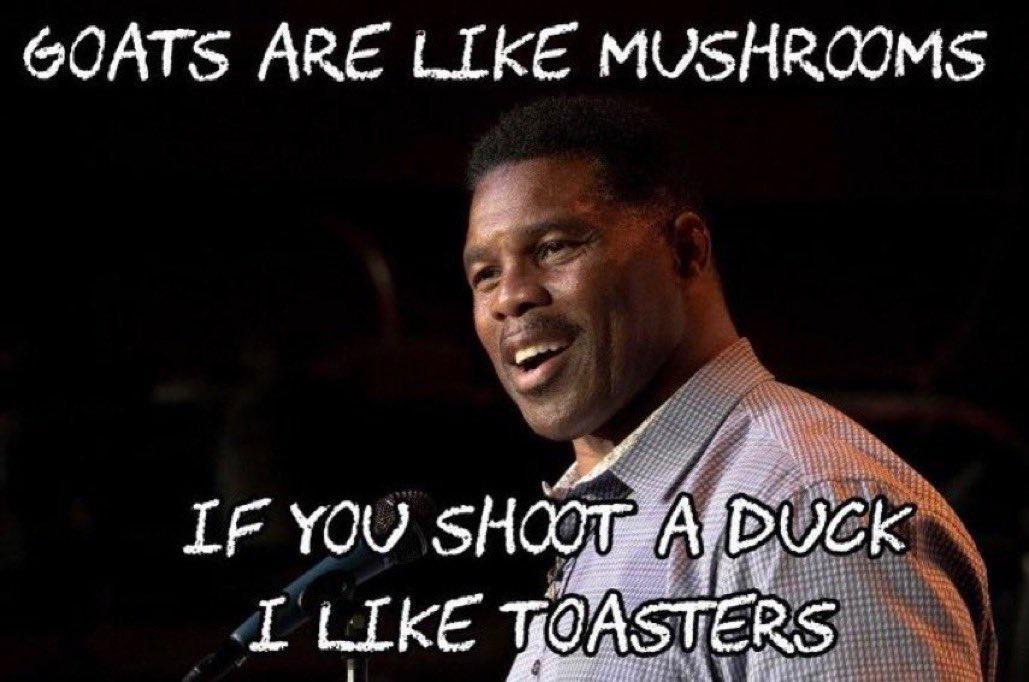 GOATS ARE LIKE MUSHROOMS