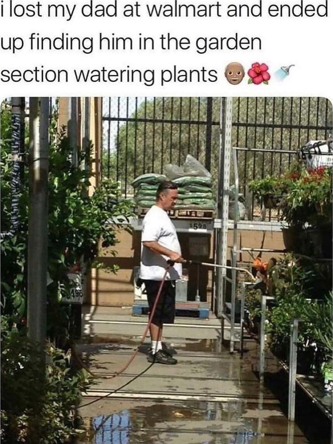 lost my up finding him in the garden section watering plants 19