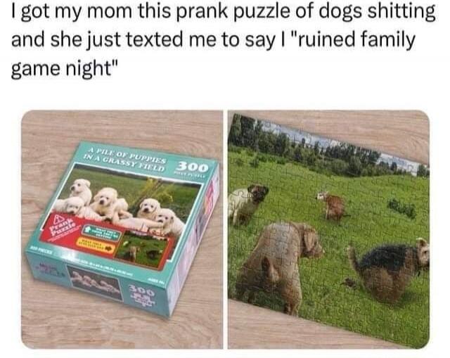 I got my mom this prank puzzle of dogs shitting and she just texted me to say I 