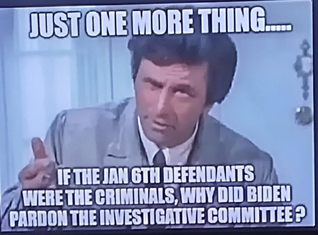 JUST ONE MORE THING..... IF THE JAN 6TH DEFENDANTS WERE THE CRIMINALS, WHY DID BIDEN PARDON THE INVESTIGATIVE COMMITTEE?
