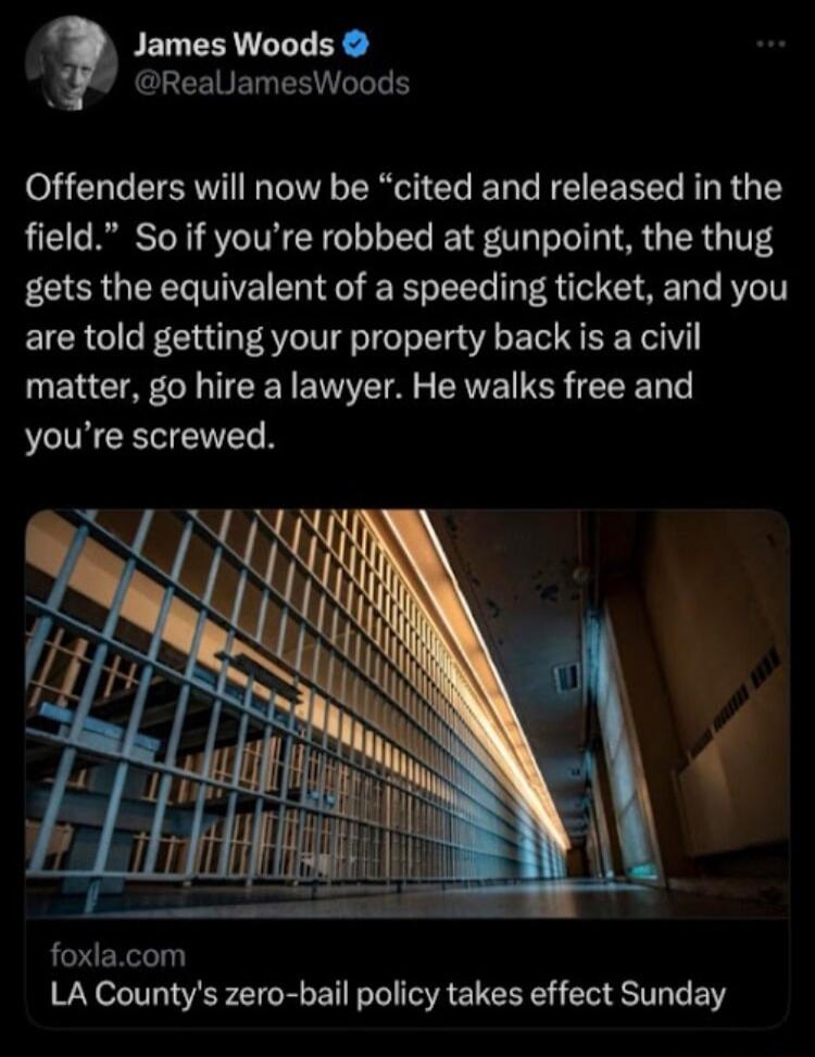 James Woods ReallamesWoods Offenders will now be cited and released in the field Soif youre robbed at gunpoint the thug gets the equivalent of a speeding ticket and you are told getting your property back is a civil matter go hire a lawyer He walks free and youre screwed foxlacom LA Countys zero bail policy takes effect Sunday