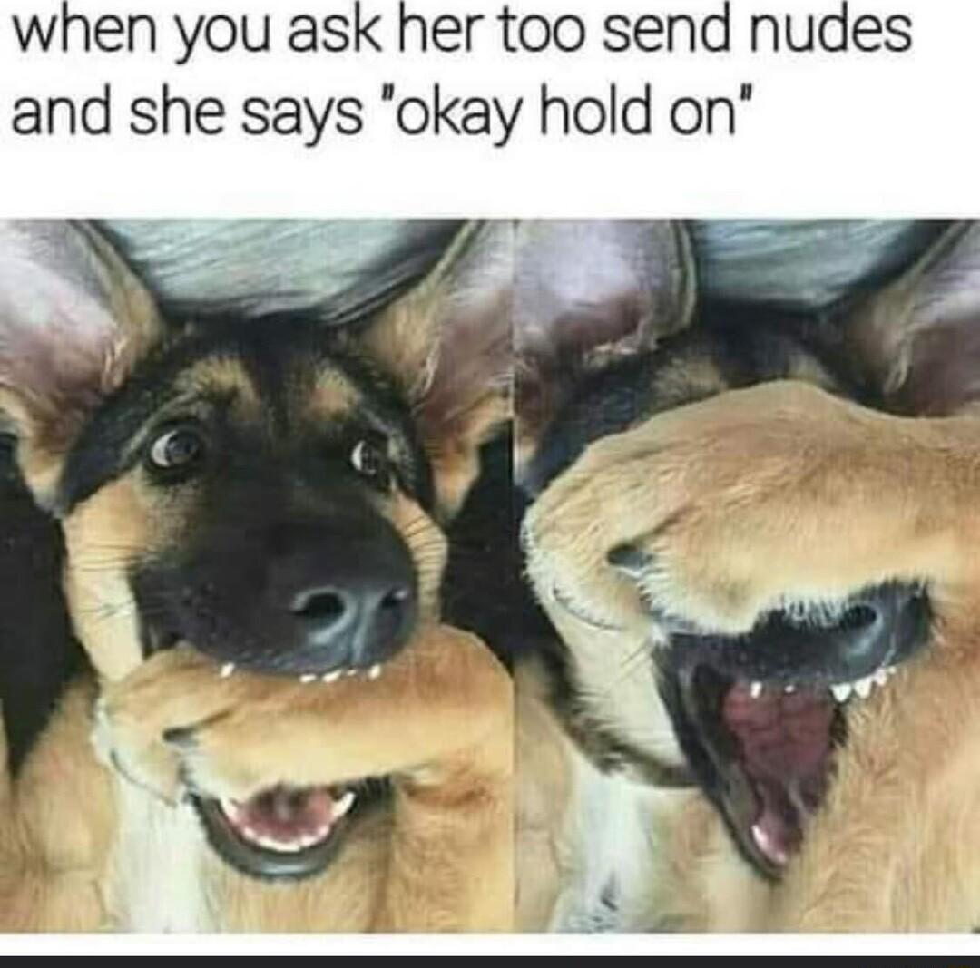 when you ask her too send nudes and she says okay hold on