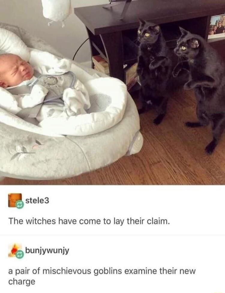 B stetes The witches have come to lay their claim ks buniywuny a pair of mischievous goblins examine their new charge