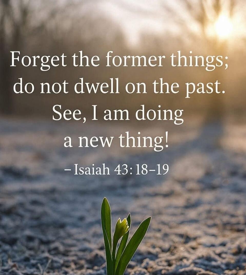 Forget the former things; do not dwell on the past. See, I am doing a new thing! - Isaiah 43:18-19