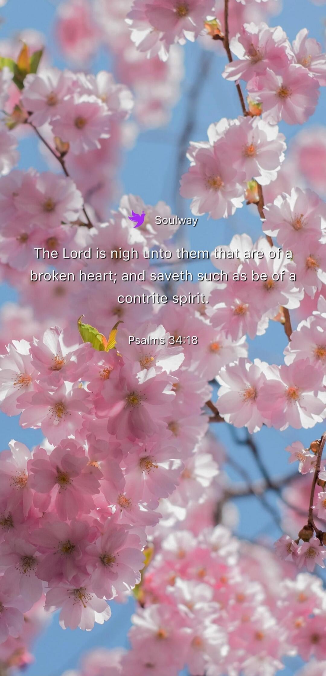 Soulway The Lord is nigh unto them that are of a broken heart; and saveth such as be of a contrite spirit. Psalms 34:18