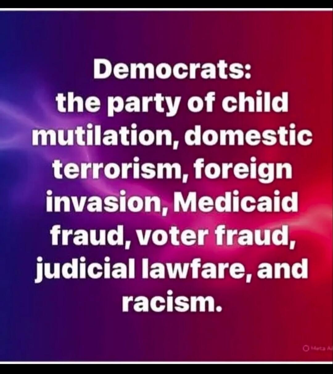 Democrats: the party of child mutilation, domestic terrorism, foreign invasion, Medicaid fraud, voter fraud, judicial lawfare, and racism.