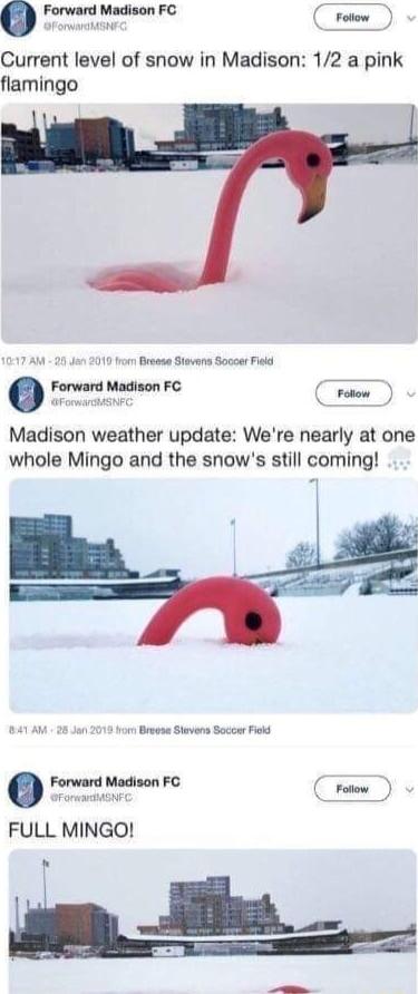 o Forward Madison FC C o Current level of snow in Madison 12 a pink flamingo 4542010 trom Breese Stevens Soccer Fisid Fm Madison FC Cromn Madison weather update Were nearly at one whole Mingo and the snows still coming 141 AM 28 Jan 20719 horn Brewse Stevens Soceer Fiekd erom avfqlmfc D FULL MINGO