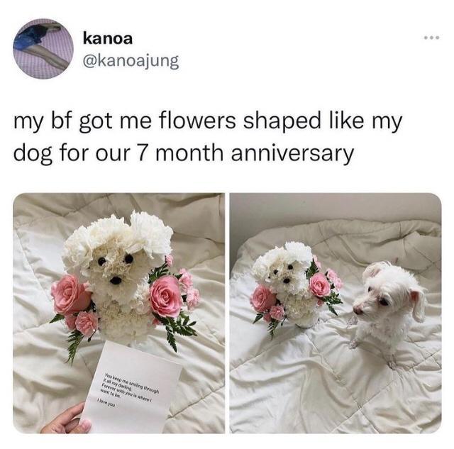 kanoa kanoajung my bf got me flowers shaped like my dog for our 7 month anniversary