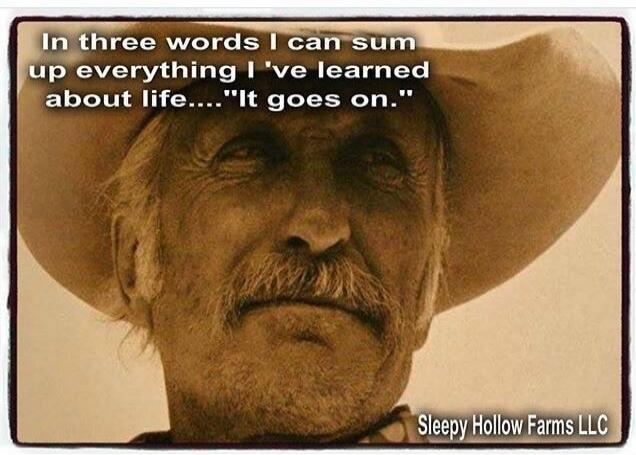 In three words I can sum up everything I've learned about life.... 