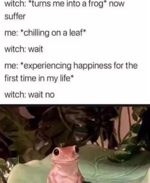 witch turns me Iinto a frog now suffer me chilling on a leaf witch wait me experiencing happiness for the first time in my life witch wait no