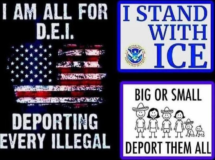 I AM ALL FOR D.E.I.\nDEPORTING EVERY ILLEGAL\nI STAND WITH ICE\nBIG OR SMALL\nDEPORT THEM ALL