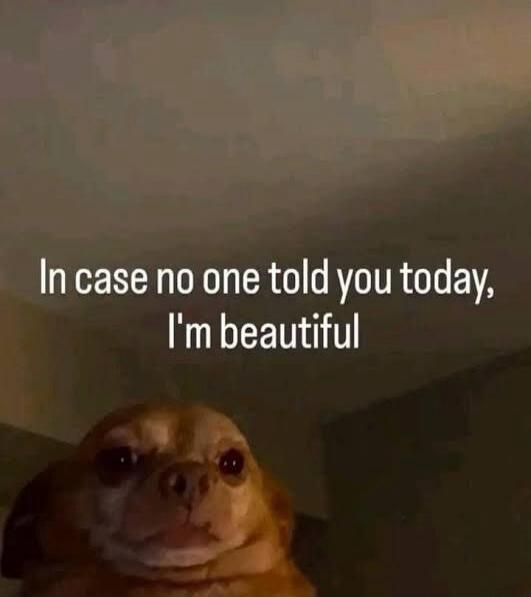 In case no one told you today, I'm beautiful