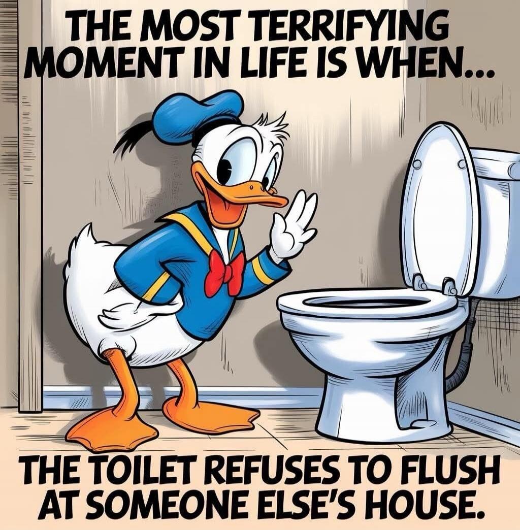 THE MOST TERRIFYING MOMENT IN LIFE IS WHEN... THE TOILET REFUSES TO FLUSH AT SOMEONE ELSE'S HOUSE.