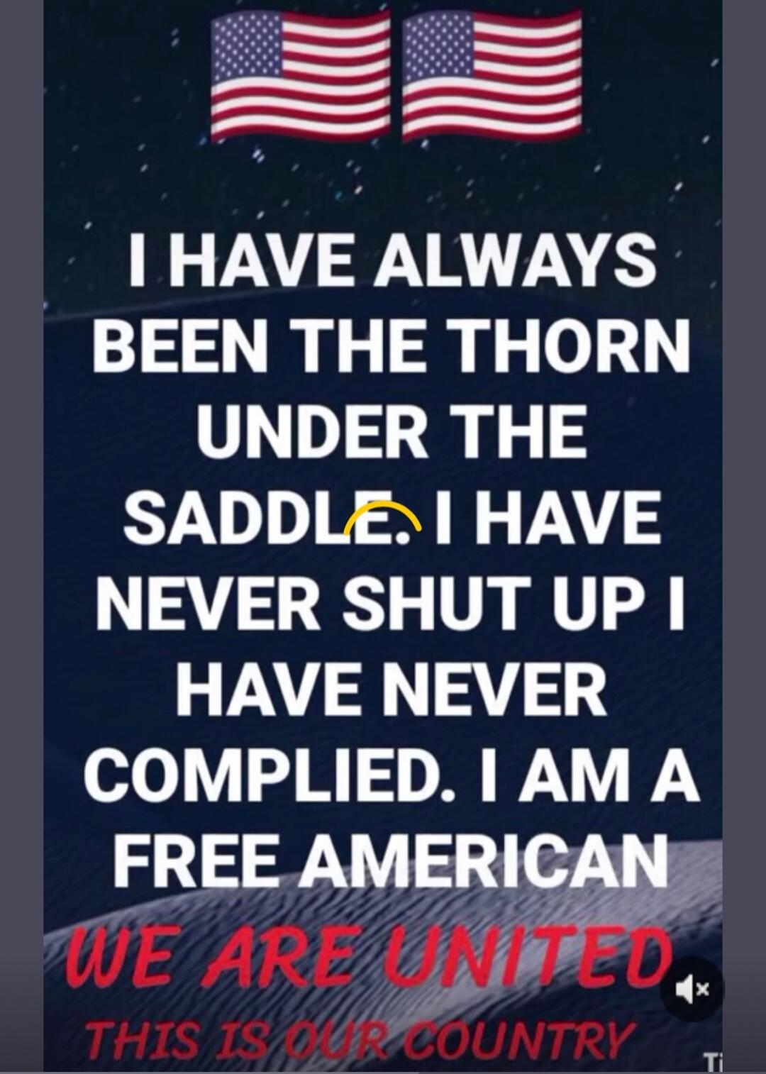 I HAVE ALWAYS BEEN THE THORN UNDER THE SADDLE! I HAVE NEVER SHUT UP! I HAVE NEVER COMPLIED. I AM A FREE AMERICAN WE ARE UNITED THIS IS OUR COUNTRY