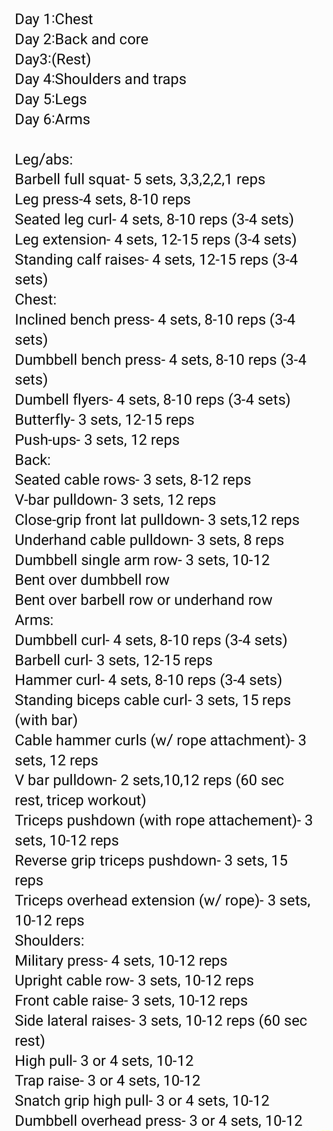 Day 1Chest Day 2Back and core Day3Rest Day 4Shoulders and traps Day 5Legs Day 6Arms Legabs Barbell full squat 5 sets 33221 reps Leg press 4 sets 8 10 reps Seated leg curl 4 sets 8 10 reps 3 4 sets Leg extension 4 sets 12 15 reps 3 4 sets Standing calf raises 4 sets 12 15 reps 3 4 sets Chest Inclined bench press 4 sets 8 10 reps 3 4 sets Dumbbell bench press 4 sets 8 10 reps 3 4 sets Dumbell flyers