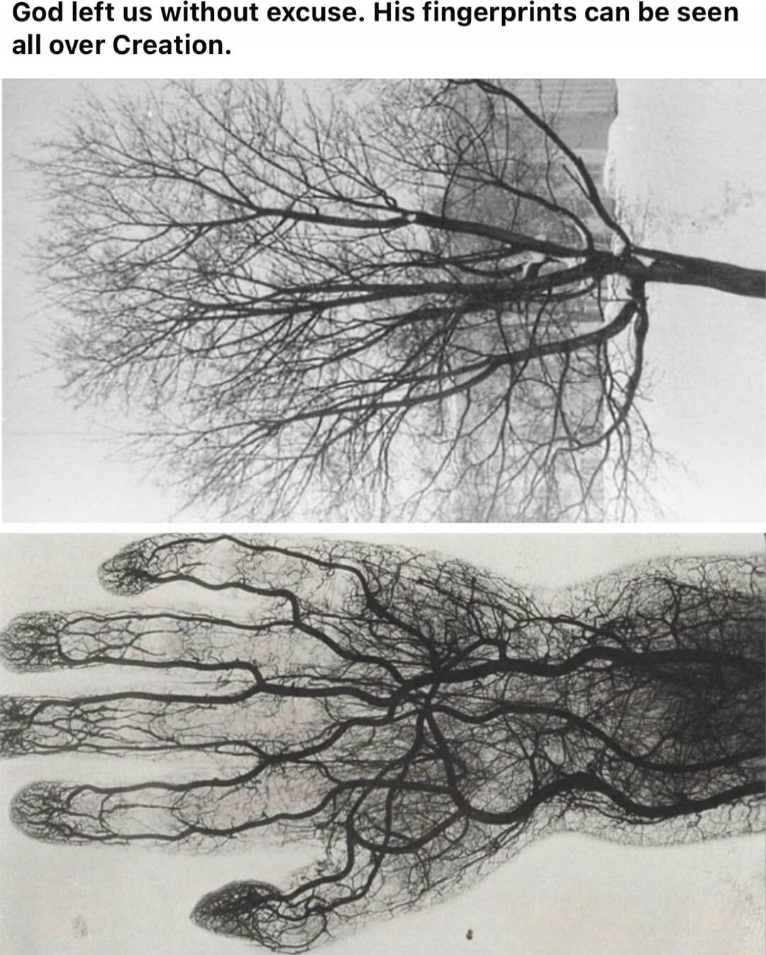 God left us without excuse. His fingerprints can be seen all over Creation.