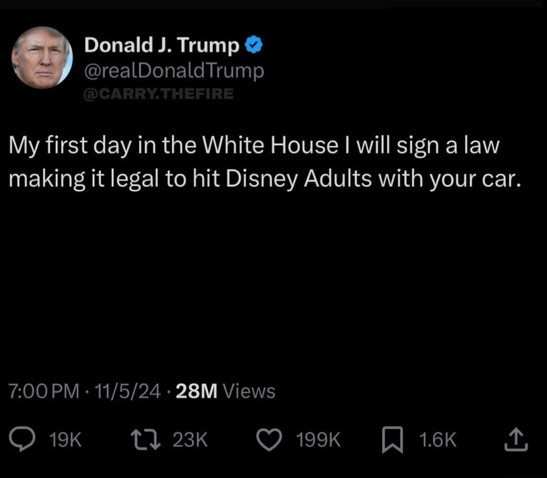 Donald J Trump realDonaldTrump My first day in the White House will sign a law making it legal to hit Disney Adults with your car 700PM 11524 28M Views RS kT Q 199k 16Kk