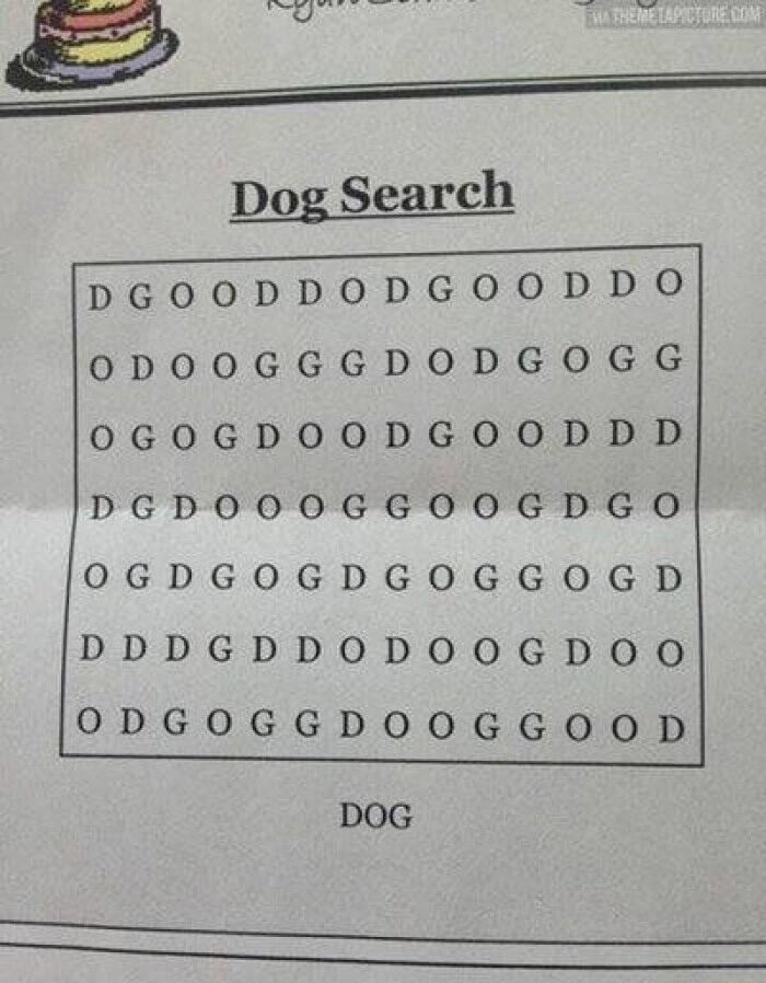 Dog Search DGOODDODGOODDO 0ODOOGGGDODGOGG 0GOGDOODGOODDD DGDOOOGGOOGDGO OGDGOGDGOGGOGD DDDGDDODOOGDOO ODGOGGDOOGGOOD DOG