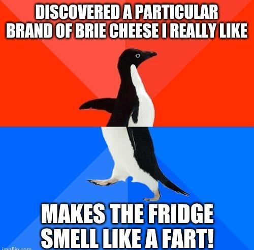 DISCOVERED A PARTICULAR BRAND OF BRIE CHEESE REALLY LIKE MAKES THE FRIDGE SMELLLIKE A FART