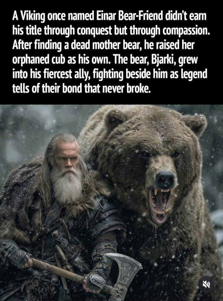 A Viking once named Einar Bear-Friend didn't earn his title through conquest but through compassion. After finding a dead mother bear, he raised her orphaned cub as his own. The bear, Bjarki, grew into his fiercest ally, fighting beside him as legend tells of their bond that never broke.