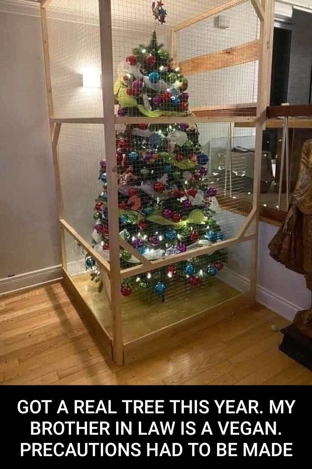 BROTHER IN LAW IS A VEGAN PRECAUTIONS HAD TO BE MADE