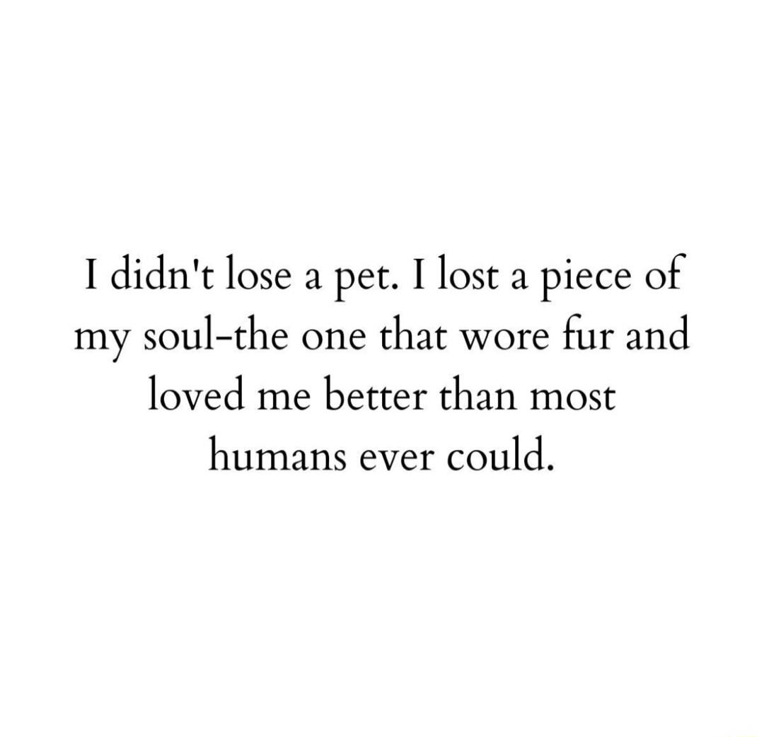 I didn't lose a pet. I lost a piece of my soul-the one that wore fur and loved me better than most humans ever could.