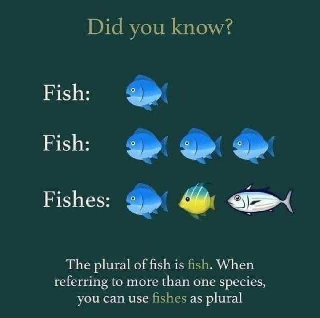 Did you know Fish Fish Fishes The plural of fish is fish When referring to more than one species you can use fishes as plural