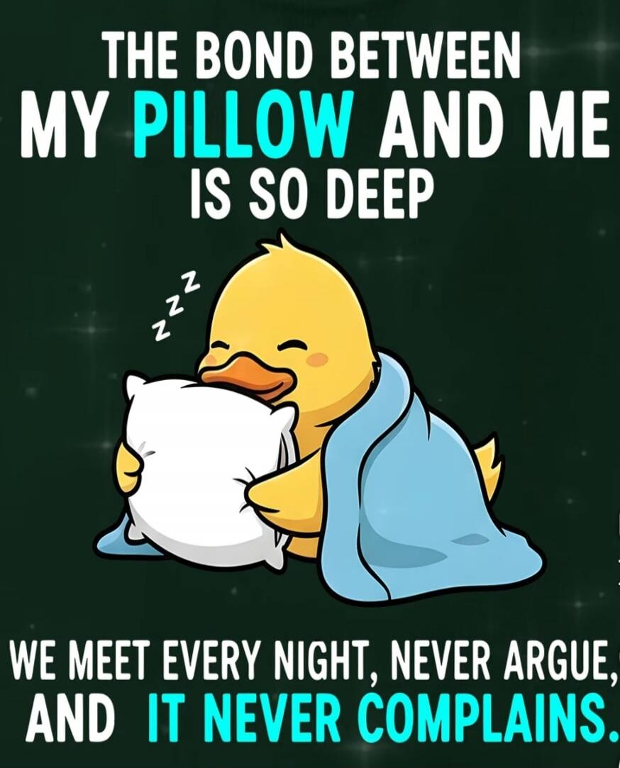 THE BOND BETWEEN MY PILLOW AND ME IS SO DEEP WE MEET EVERY NIGHT, NEVER ARGUE, AND IT NEVER COMPLAINS.